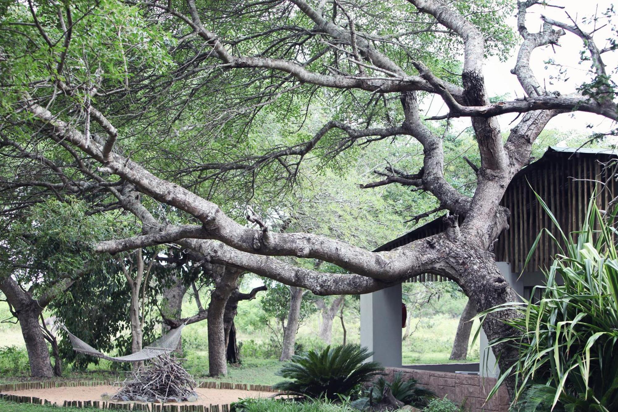 Emdoneni Lodge With Zululand Cat Conservation Project Hluhluwe Exterior foto